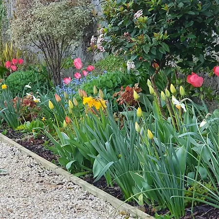 The Harbour Masters House 3*