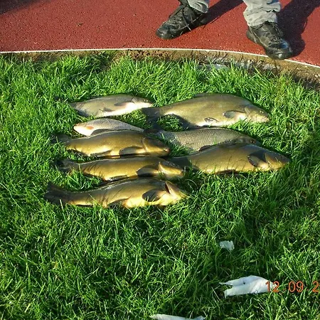 The Harbour Masters House 住宿加早餐酒店 巴纳赫