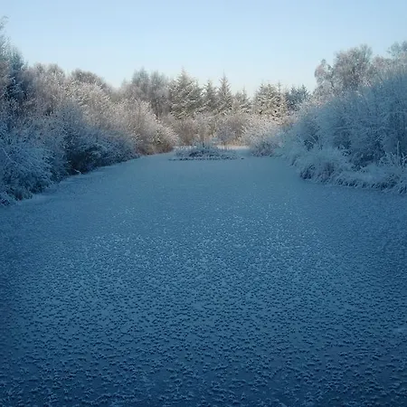 The Harbour Masters House Panzió