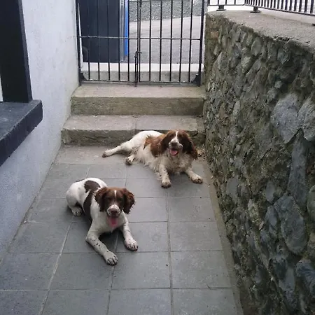 The Harbour Masters House Panzió 3*