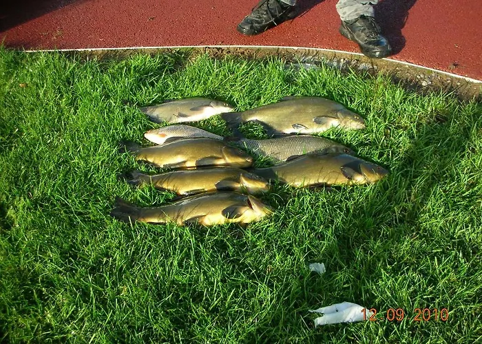 The Harbour Masters House Alojamento de Acomodação e Pequeno-almoço Banagher