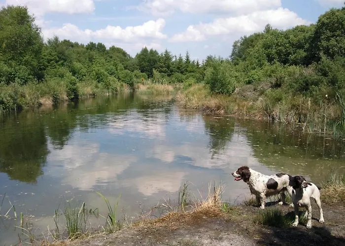 The Harbour Masters House 3* Banagher