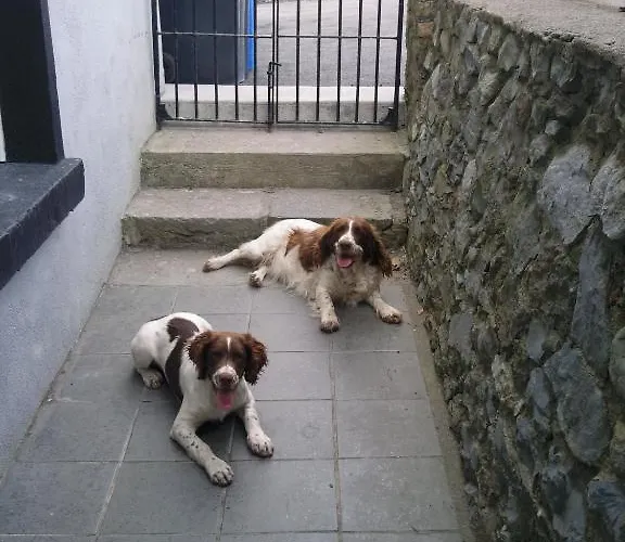 The Harbour Masters House Alojamento de Acomodação e Pequeno-almoço 3*